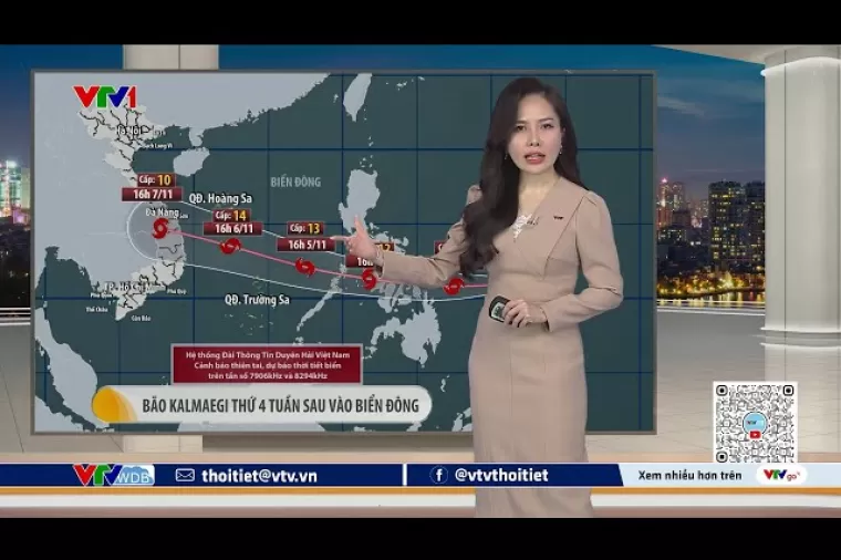 Dự Báo Mưa Bão & Nồm Ẩm Gia Tăng 2025-2026: Tại Sao Máy Tách Ẩm Là Thiết Bị Bắt Buộc Phải Có?